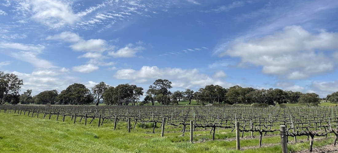 Kesehills Wines vineyard